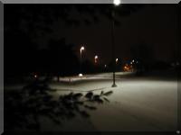 Fresh snowfall 2.JPG